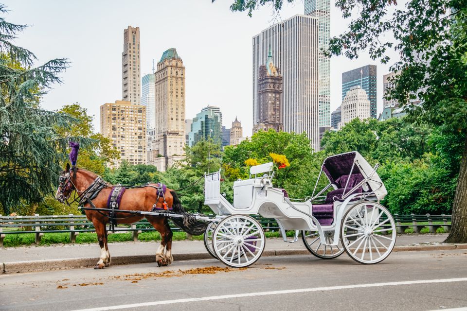 NYC: Guided Central Park Horse Carriage Ride