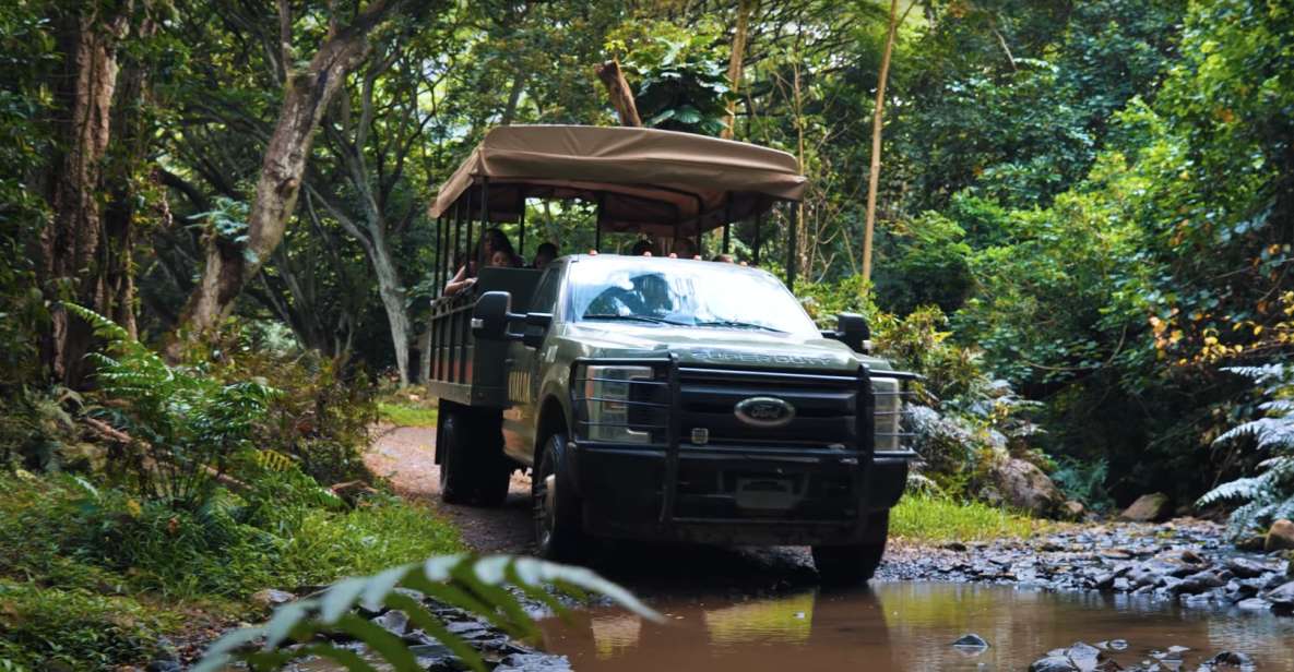 Oahu: Kualoa Open Air Jungle Expedition Tour - Tour Overview