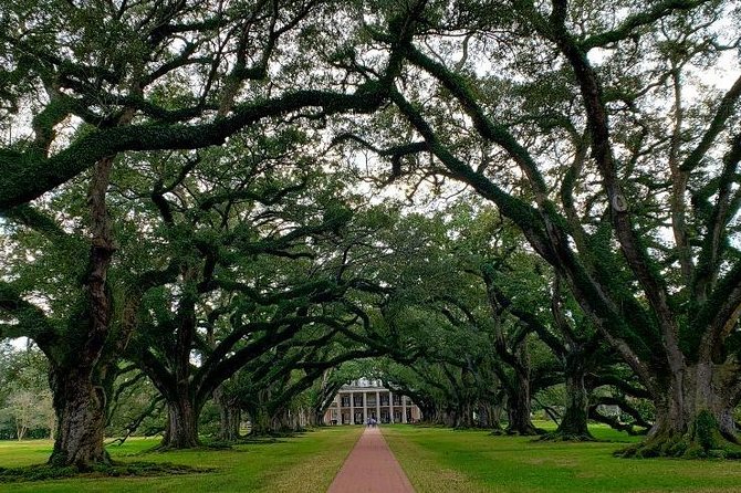 Oak Alley or Laura Plantation Tour From New Orleans - Overview of Plantation Tours