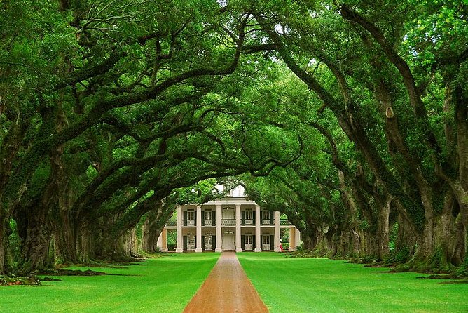 Oak Alley Plantation and Swamp Boat Tour From New Orleans