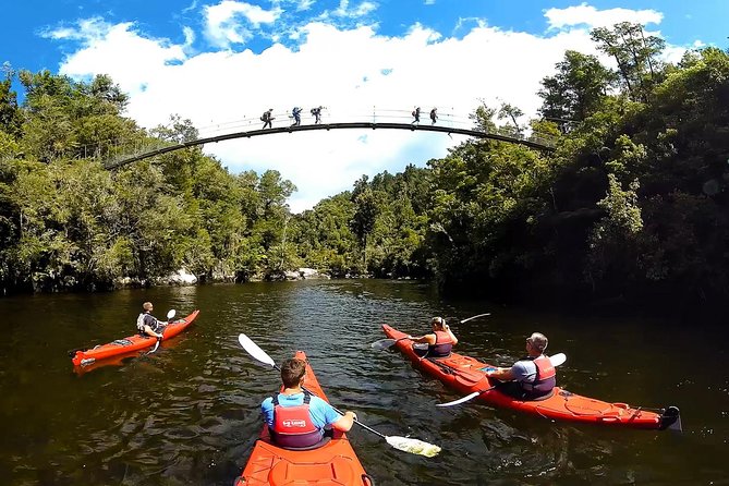 Oarsome Marine Reserve Kayak Tour