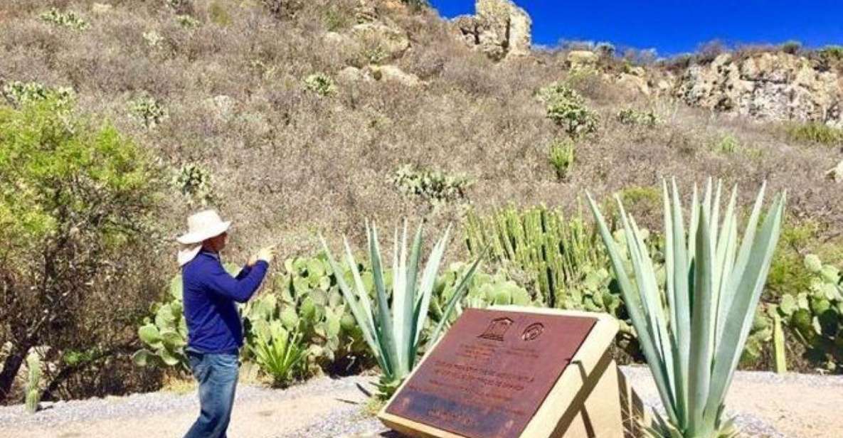 Oaxaca: Exclusive Private Yagul UNESCO Heritage Site Tour