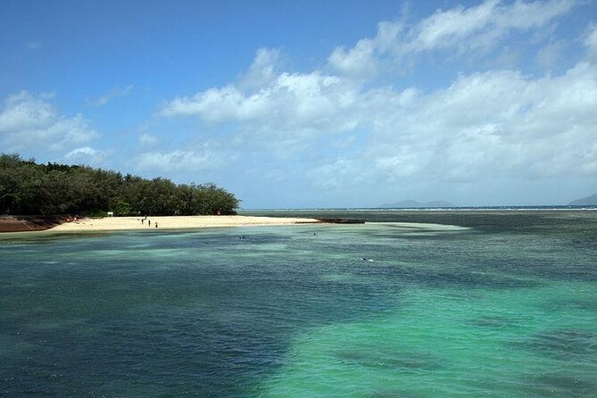 Ocean Free Green Island and Great Barrier Reef Snorkel Cruise