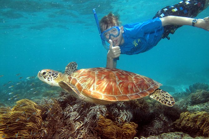 Ocean Spirit Sail to Michaelmas Cay Snorkel or Dive, From Cairns