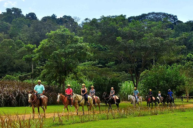 Ocean View Zip Line + Horseback Riding & Natural Pool Combo