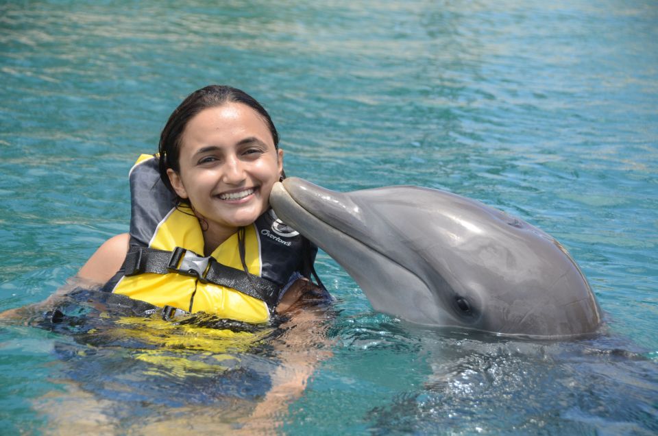 Ocean World Dolphin Swim & Sea Lion Combo From Puerto Plata