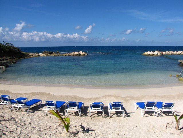 Ocho Rios: Half Day Dolphin Training