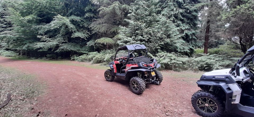 Off-Road Buggy Madeira