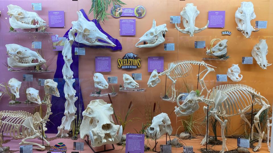 Oklahoma City: SKELETONS: Museum of Osteology Ticket