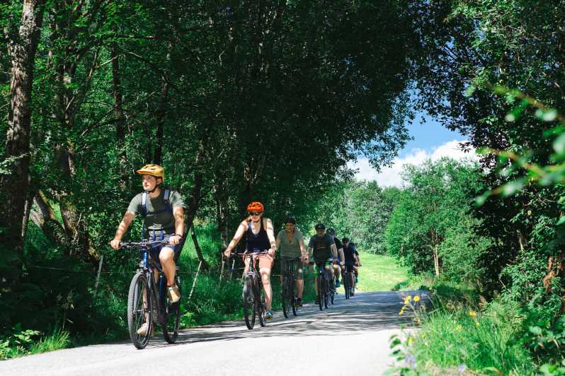 Olden: Fjord E-Bike Tour