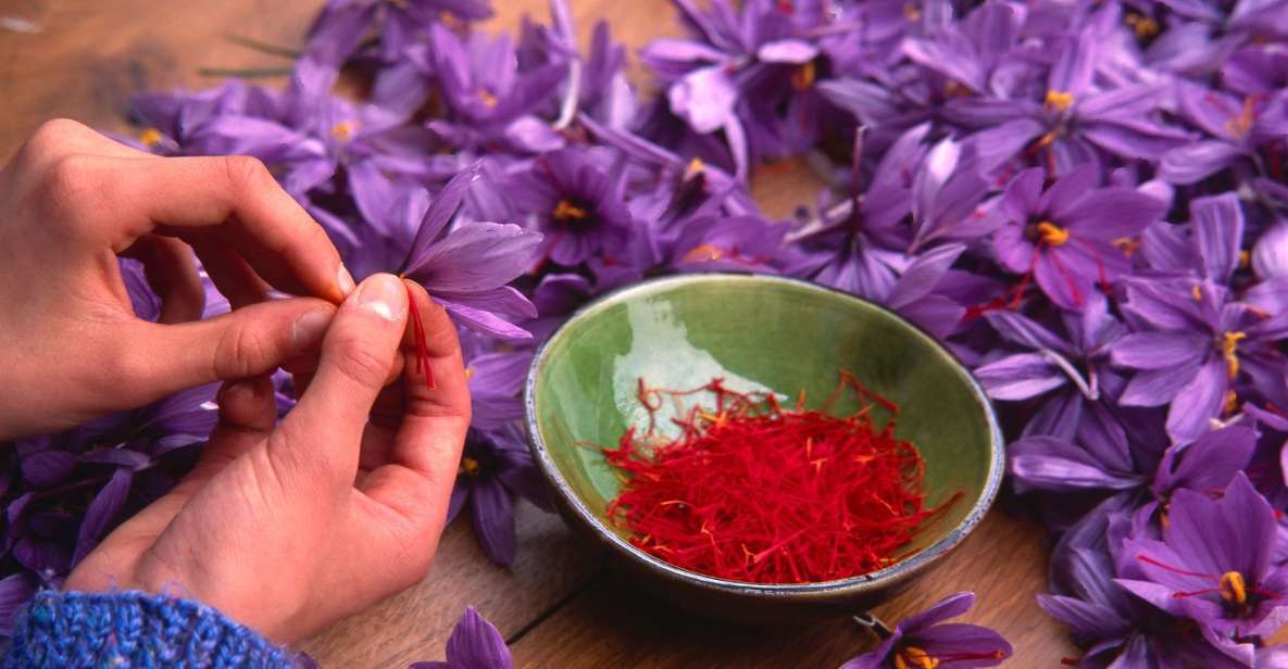 Olmedo: Guided Tour of Saffron Laboratory With Tasting