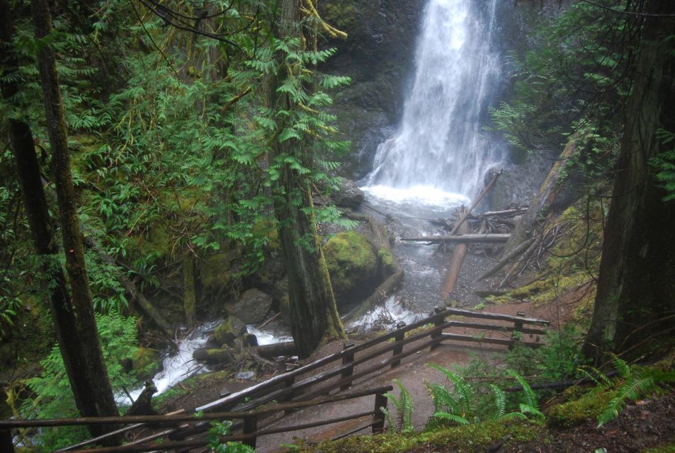 Olympic National Park: Sol Duc and Hurricane Ridge Tour