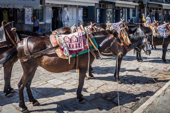 One Day Cruise to Hydra, Poros and Aegina From Athens - Inclusions and Amenities