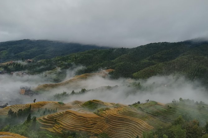 One Day Private Longji Rice Terraces With Minority Village Tour - Tour Overview