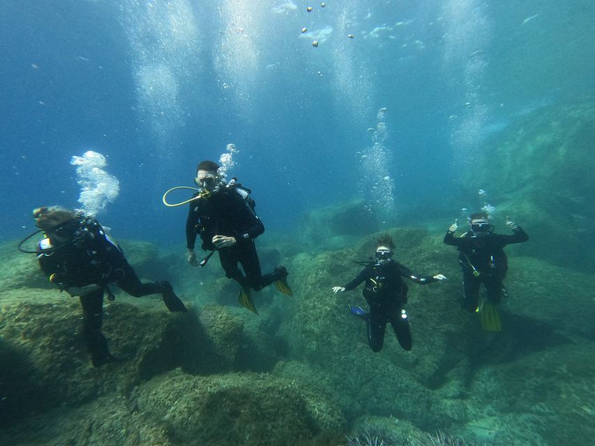 Open Water Diver 1st Level Course in Villasimius