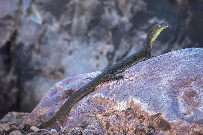 Ord River Explorer Cruise With Sunset