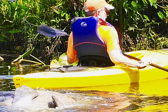 Orlando Manatee Encounters - Location and Meeting Point