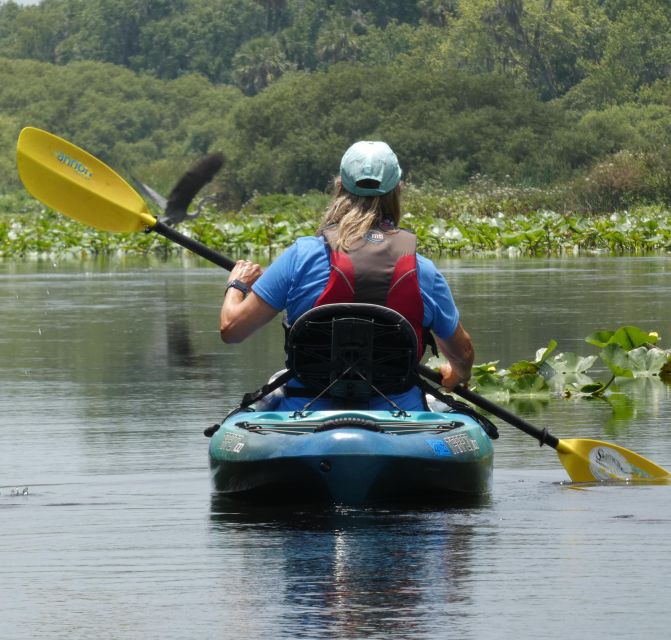 Orlando: Small Group Scenic Wekiva River Kayak Tour - About the Wekiva River Kayak Tour