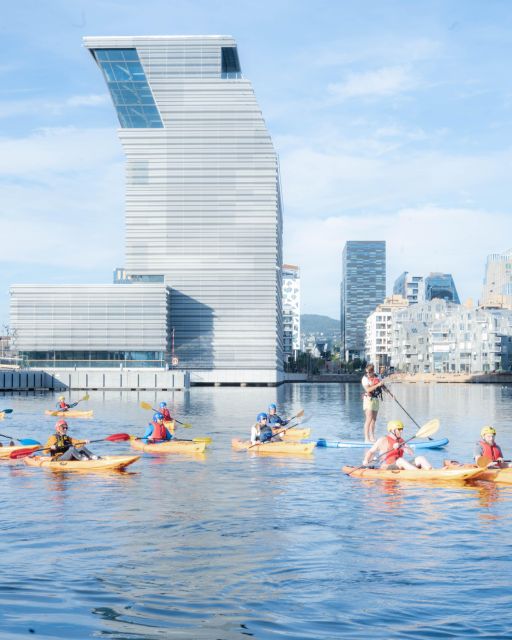 Oslo Kayak Tour “Fjord City” - Tour Overview