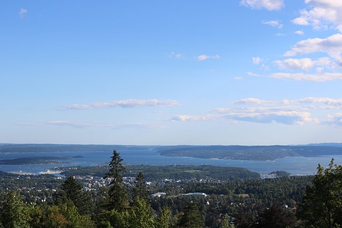 Oslo Panorama Tour With Holmenkollen Ski Jump and Vigeland Park