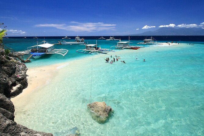 Oslob Whaleshark, Sumilon Sandbar and Tumalog Falls Joiners