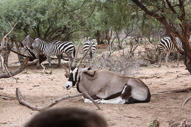 Out of Africa Wildlife Park Admission Ticket