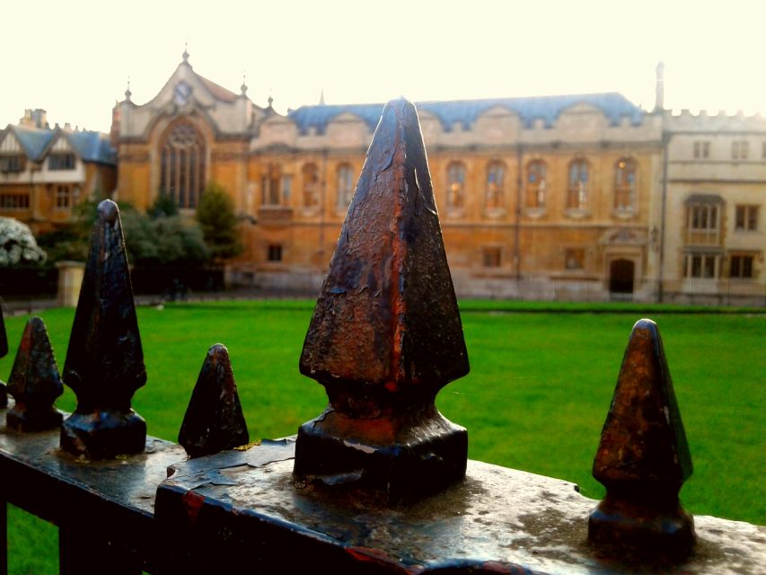 Oxford: Harry Potter Insights Divinity School Group Tour