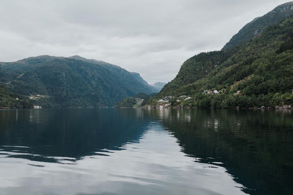 Øystese: Exclusive Fyksesund Private RIB Fjord Safari