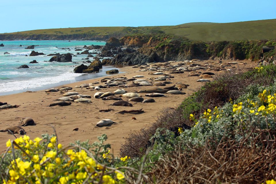 Pacific Coast Highway: Audio Tour Between LA & San Diego