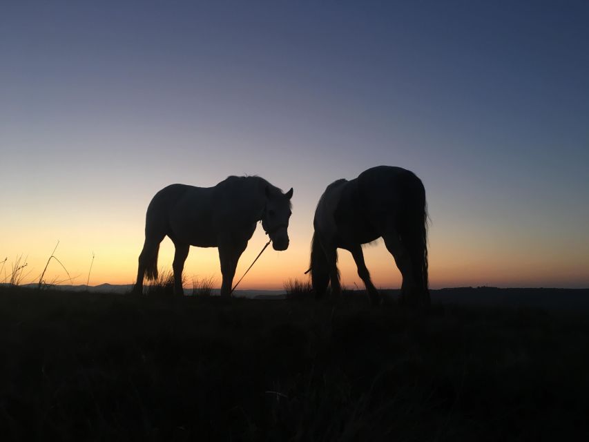 Packhorse Picnic Lake District Full Circle Experiences