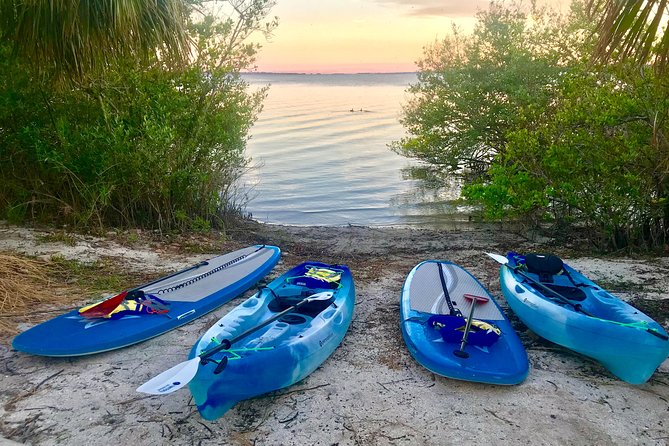 Paddle Board or Kayak Eco Dolphin Manatee Tour