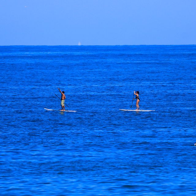 Paddle Board - Pricing and Booking