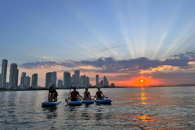 Paddleboard Tour