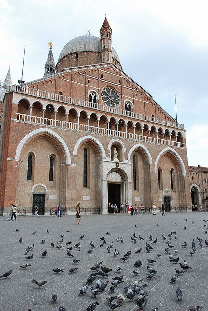 Padua City 2.5-Hour Walking Tour