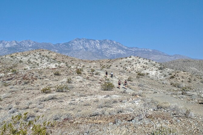 Palm Springs Hike to an Oasis and Amazing Desert Views