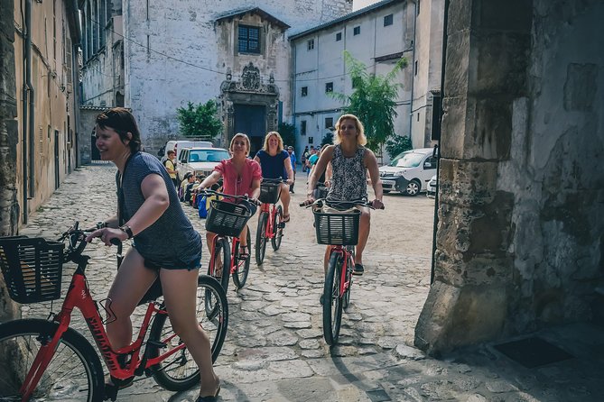 Palma De Mallorca Shore Excursion: Bike Tour With Cathedral and Parc De La Mar - 3.5-Hour Palma De Mallorca Bike Tour