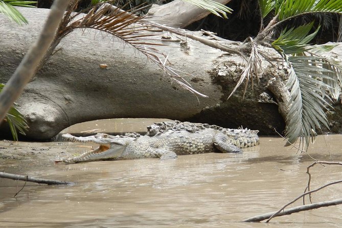 Palo Verde Boat Tour