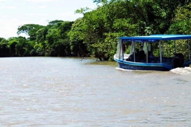 Palo Verde National Park River Jungle Safari