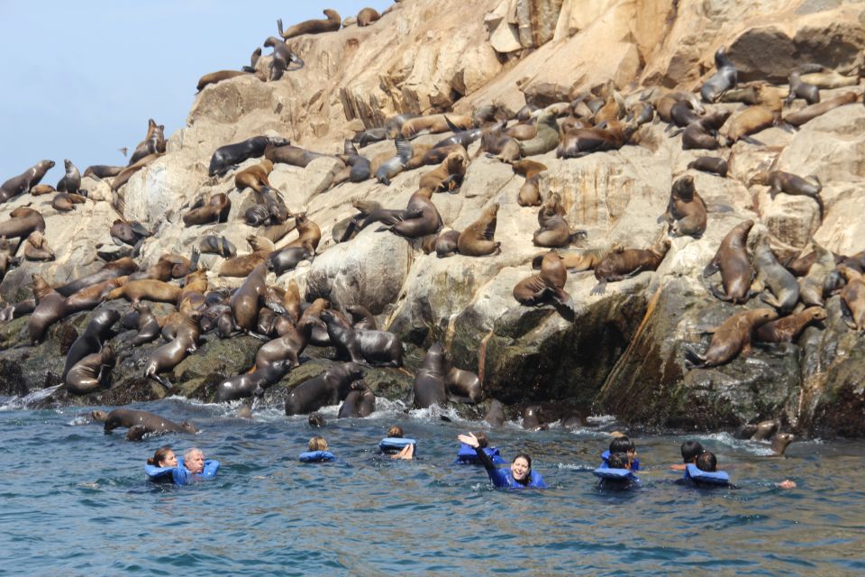 Palomino Islands: Swim With Sea Lions in the Pacific Ocean