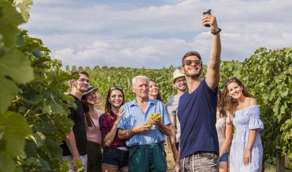 Paris: Discover the Cellars in the Countryside in Champagne