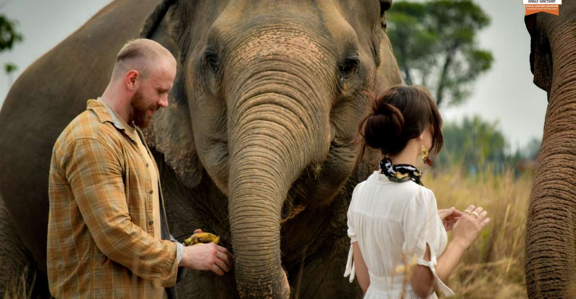 Pattaya: Elephant Jungle Sanctuary Half-Day Tour With Meal