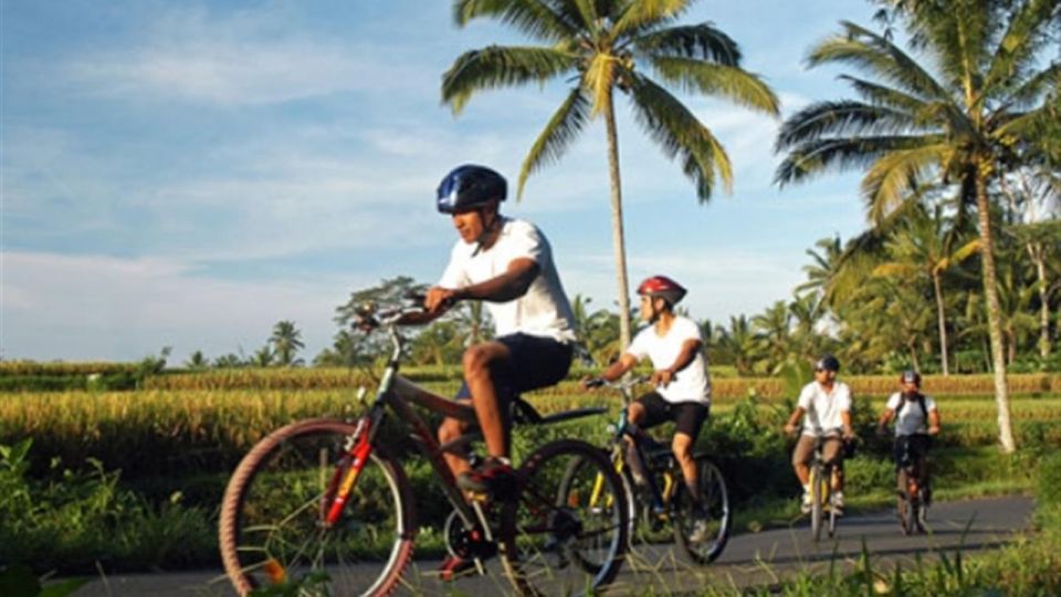 Pedal Bike Through Rice Terraces, Forests and Lawang Caves