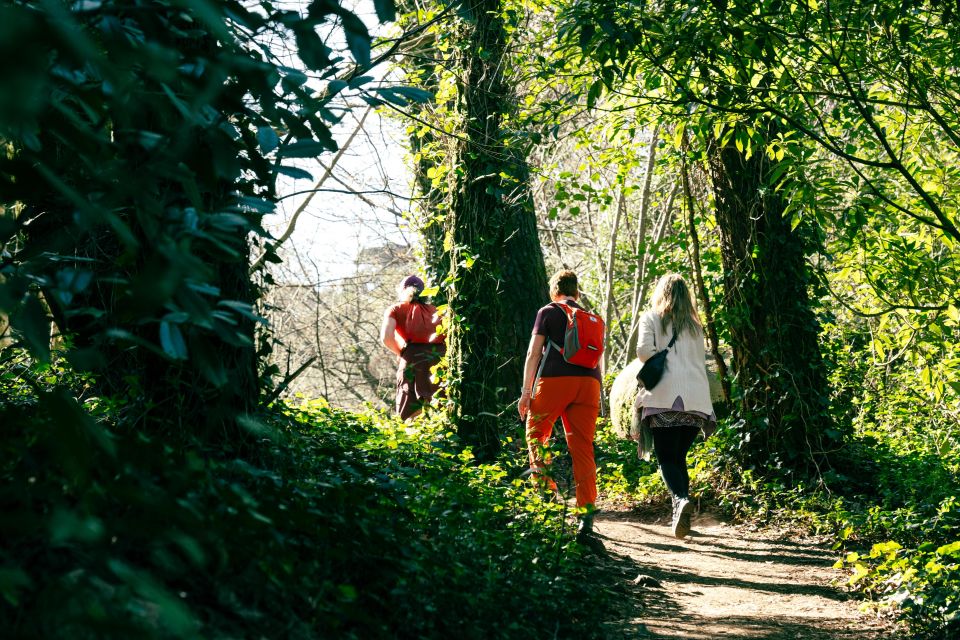 Pena Palace, Moorish Castle,Quinta Ad Regaleira:Walking Tour