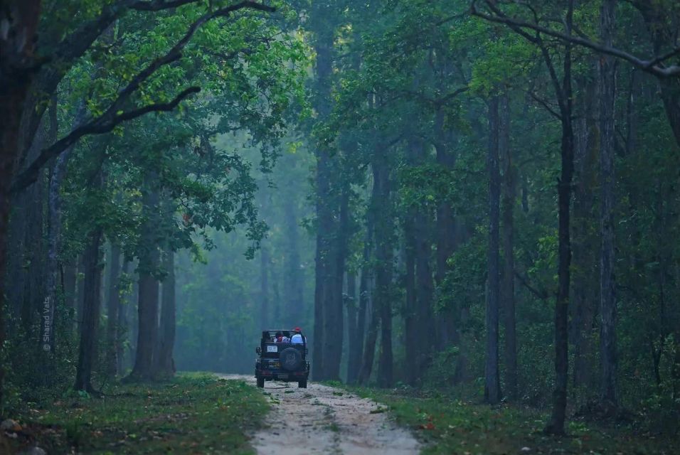 Pench National Park: Skin the Line Access to Jungle Safari