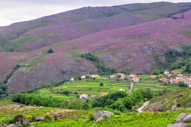 Peneda-Gerês Hiking & Sightseeing: Private Experience