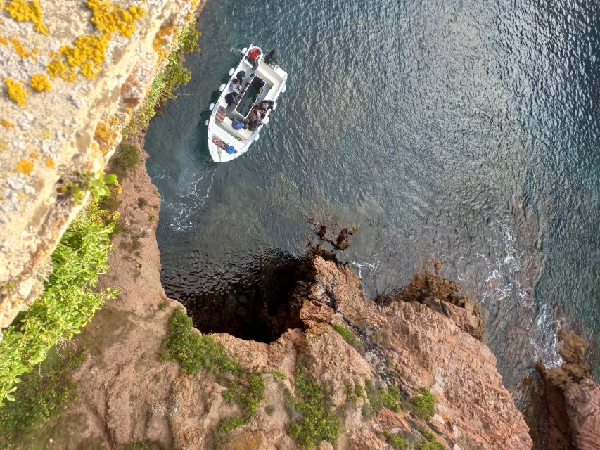 Peniche: Berlengas Island Round-Trip Ferry - Activity Overview