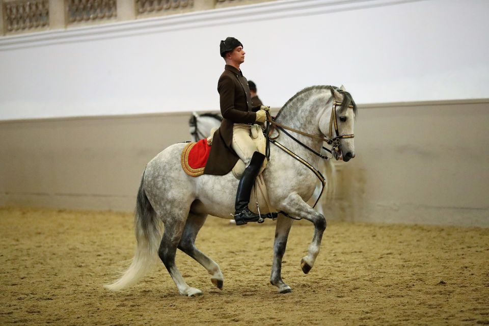 Performance Of The Lipizzans At Spanish Riding School