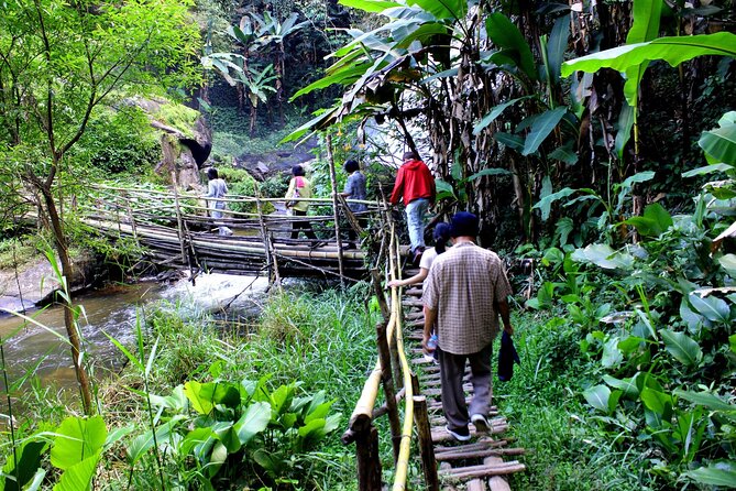 Pha Dok Siew Nature Trail & Doi Inthanon National Park From Chiang Mai