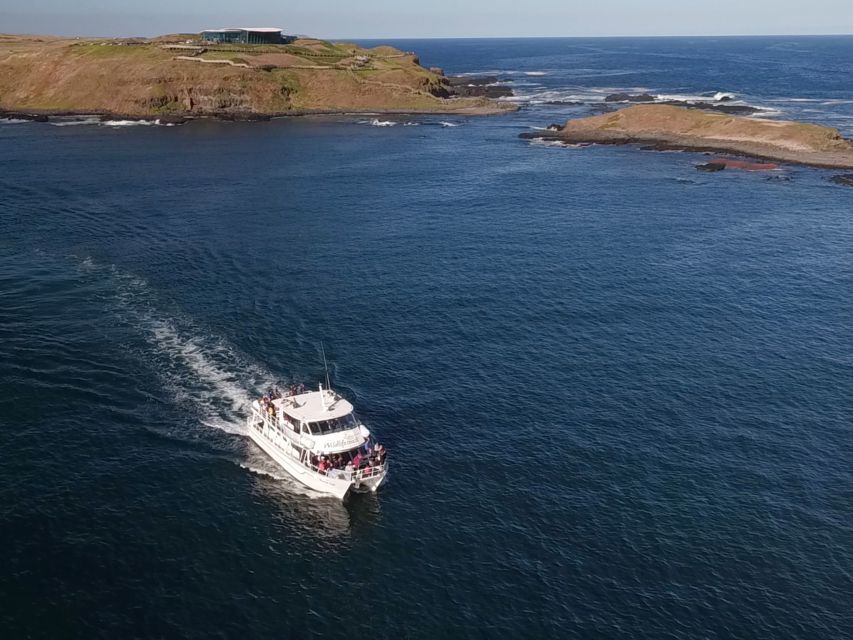 Philip Island: Seal Watching Cruise