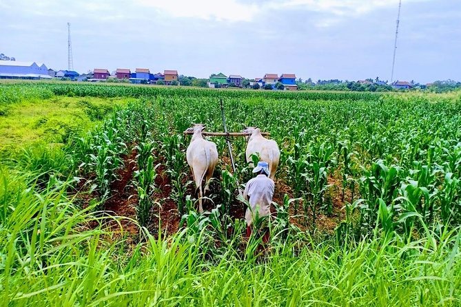 Phnom Penh Countryside Cycle Tour - Tour Overview